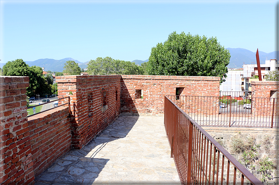 foto Camminamento delle mura di Pisa